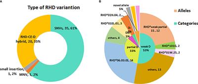 The Significance of RHD Genotyping and Characteristic Analysis in Chinese RhD Variant Individuals